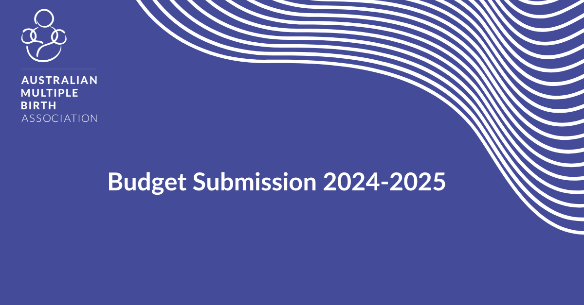 Budget Submission 24-25