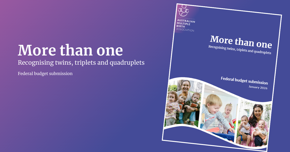 2026 Federal Budget Submission