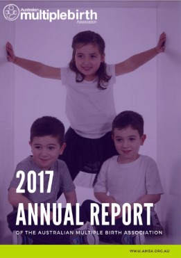 2016 17 AMBA annual report cover web