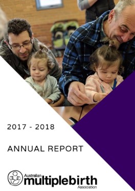2017 18 AMBA annual report cover web