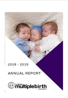 2018 19 AMBA annual report cover web