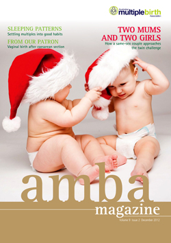 AMBA Magazine Volume 9 Issue 1 Christmas 2012