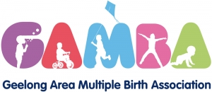 Playgroup (Geelong Area Multiple Birth Association Inc.)