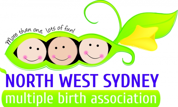 Play Days (North West Sydney Multiple Birth Association)